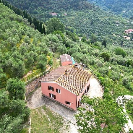 Olive House Tuscany - Zona Pisa Calci Buitenkant foto