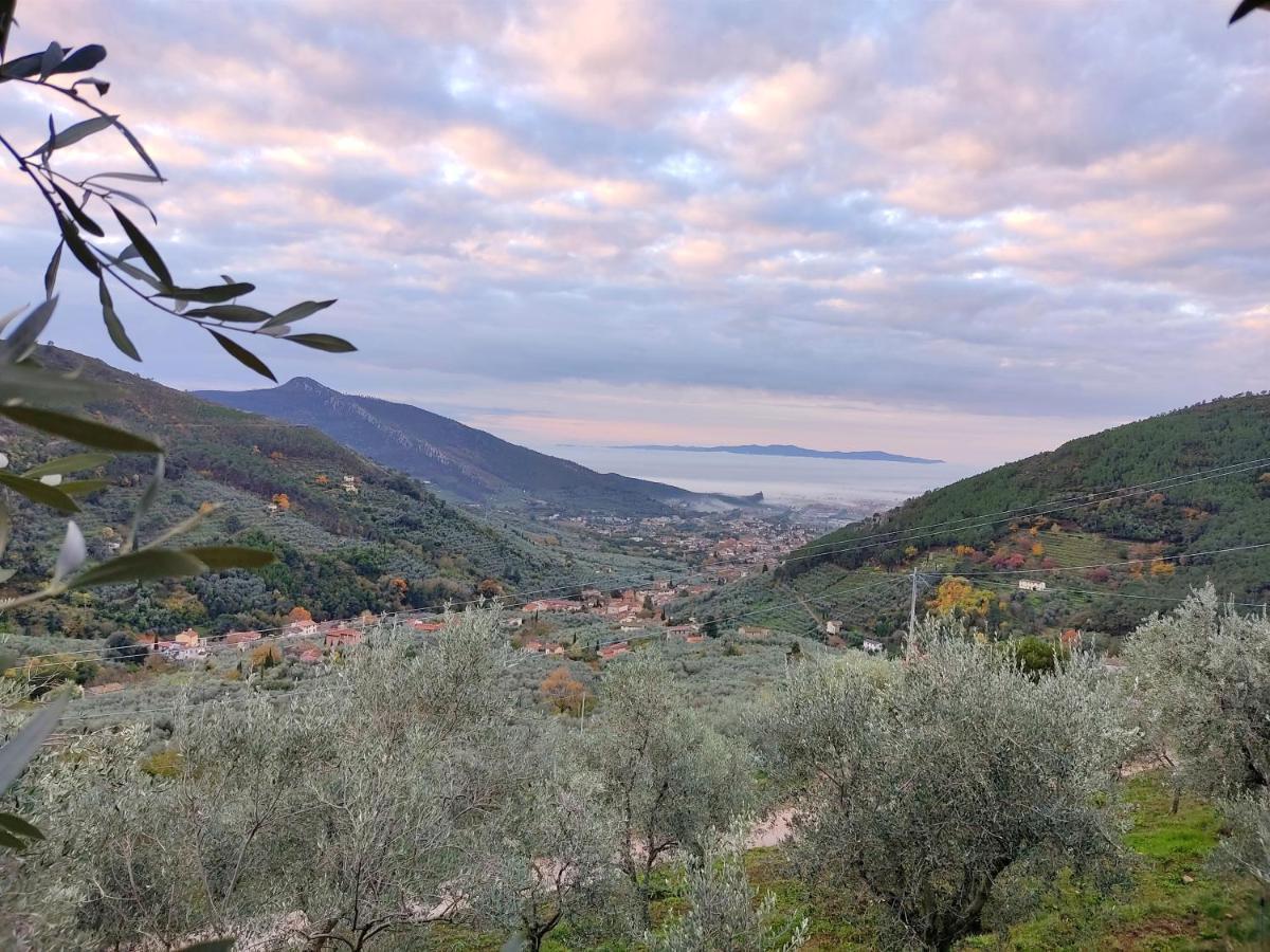Olive House Tuscany - Zona Pisa Calci Buitenkant foto