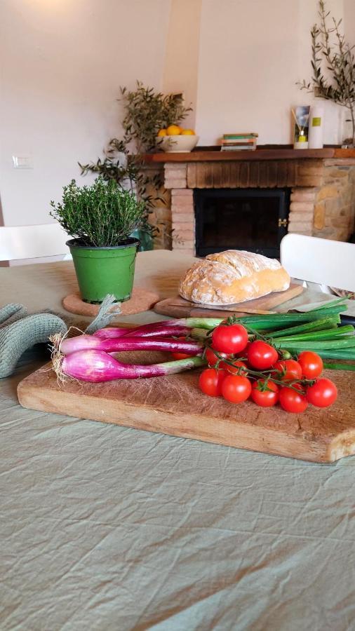 Olive House Tuscany - Zona Pisa Calci Buitenkant foto