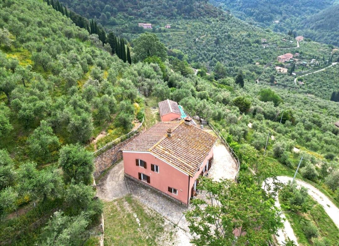 Olive House Tuscany - Zona Pisa Calci Buitenkant foto