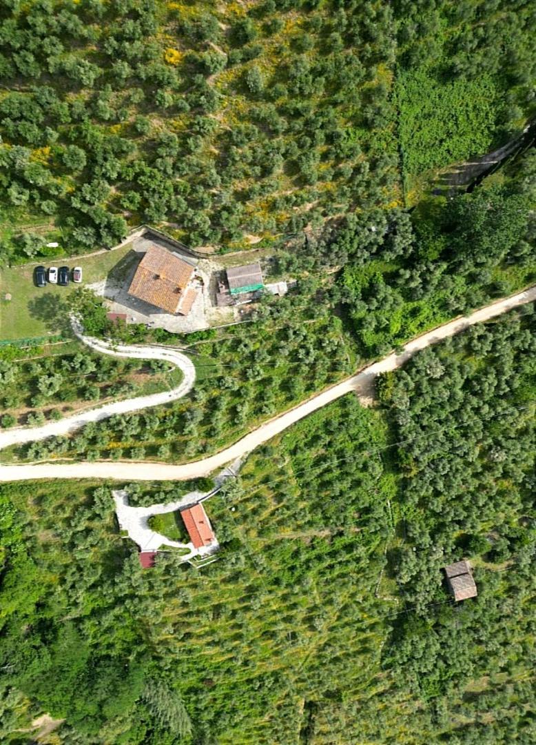 Olive House Tuscany - Zona Pisa Calci Buitenkant foto